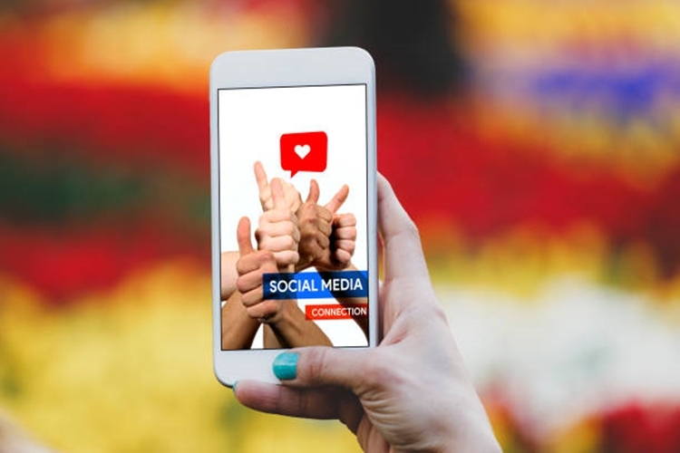 Tekirdağ Marmaraereğlisi Tüm Türkmenli Web Tasarım ve Seo Hizmeti